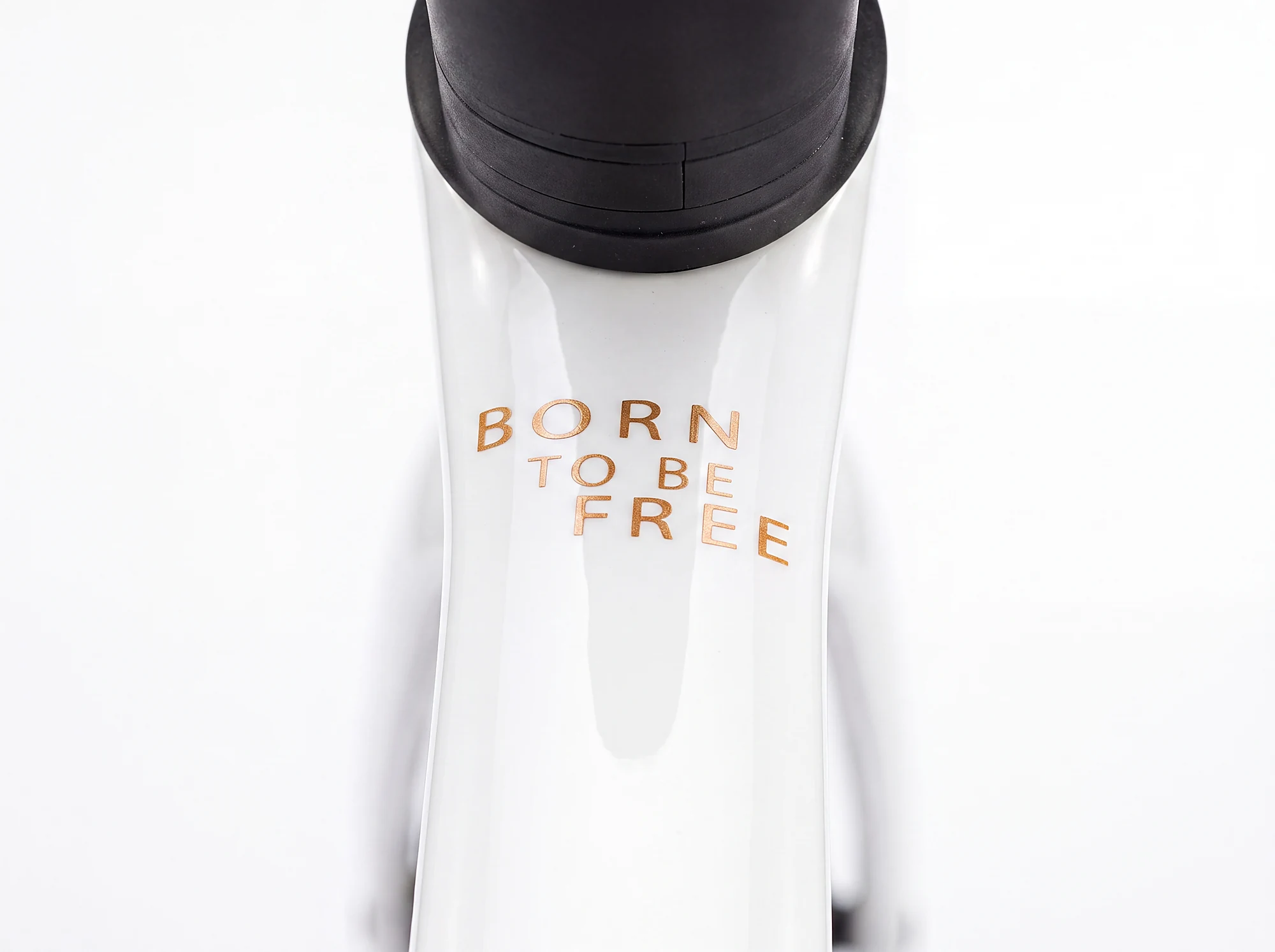PYRMON Cadí · detall Born to be free